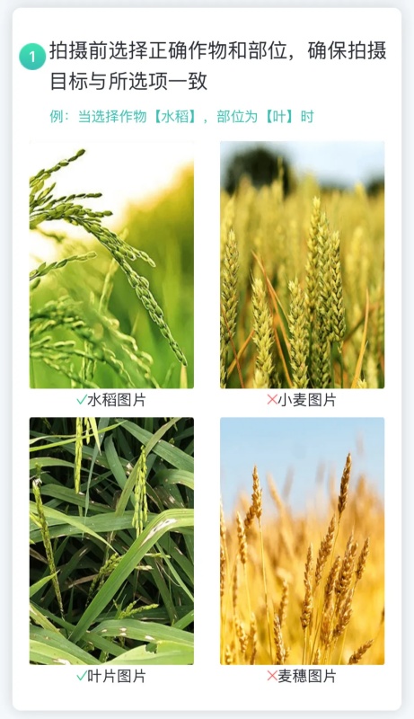 2_副本.jpg
